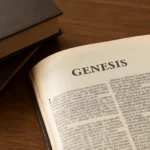 Genesis Bücher: Die besten Titel, Neuerscheinungen und Kaufberatung genesis bücher